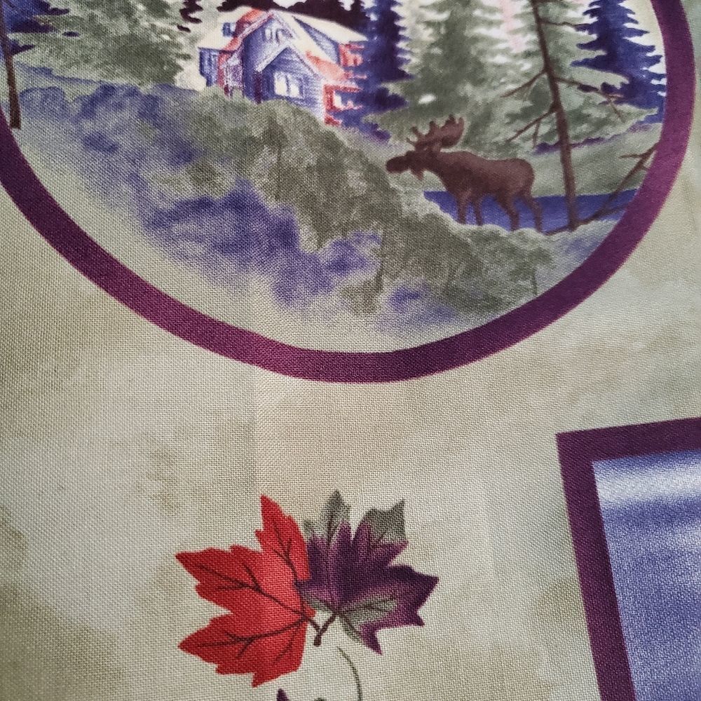 Beautiful Moda fabric almost a yard - Picture 2 of 5